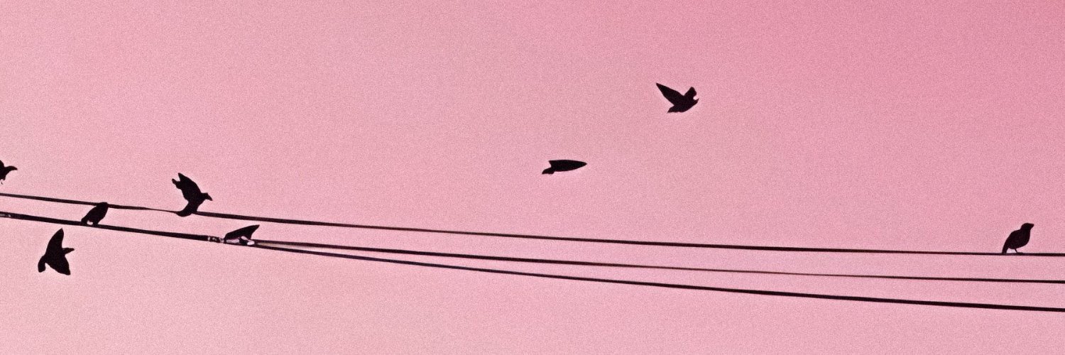 imranibrahimi's profile banner image
