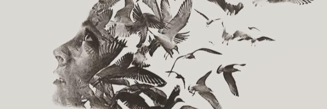 BuseDvr's profile banner image