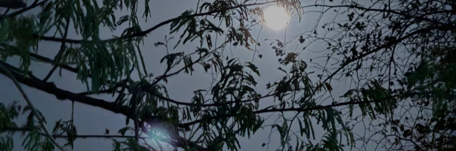 GiocareDaUomo's profile banner image