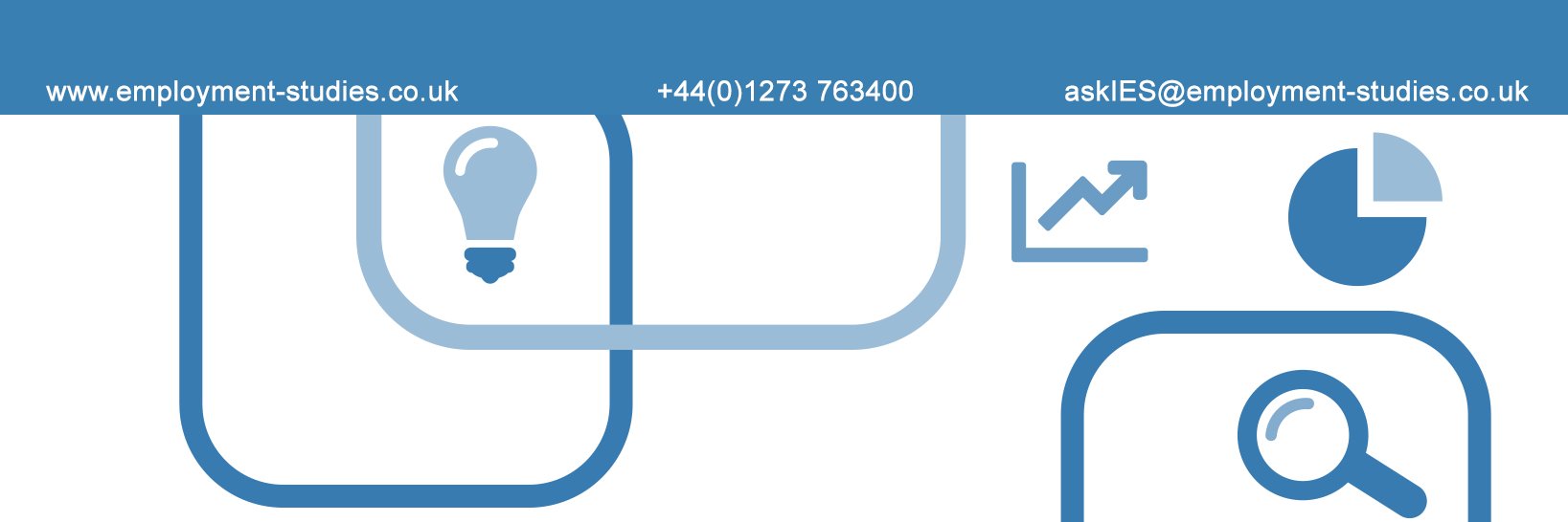 Institute for Employment Studies banner