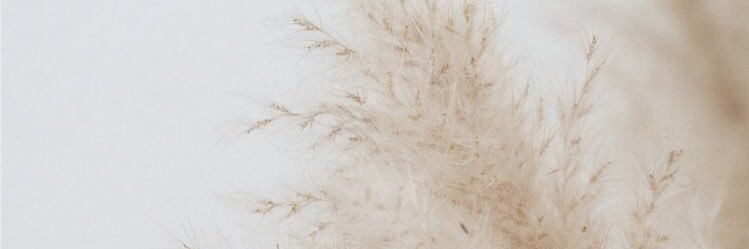hasonah0's profile banner image