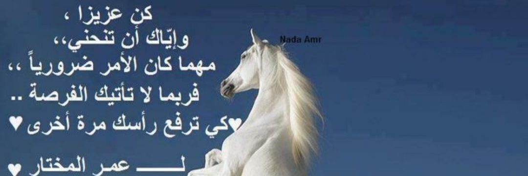 MohamedAlaswar's profile banner image