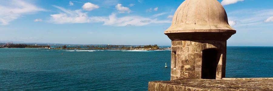 Nelson Rodriguez banner