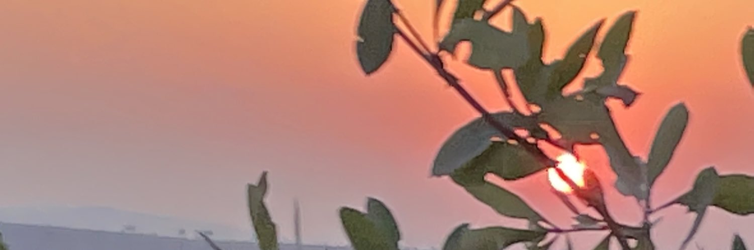 miaduplessis's profile banner image
