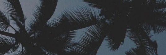 Natalia Valero banner