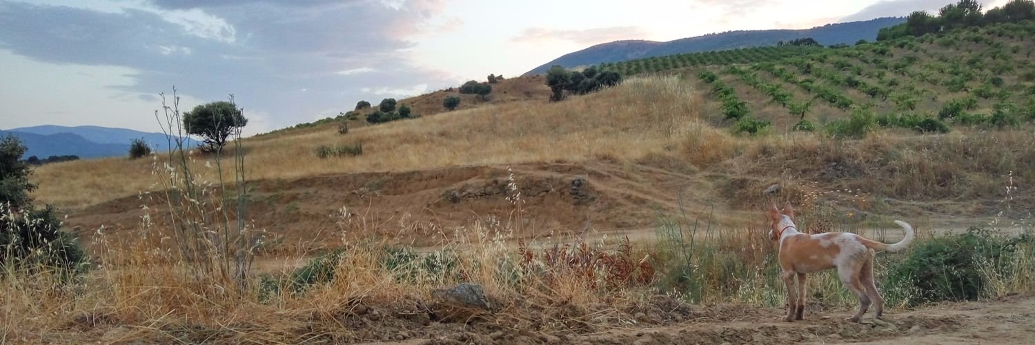 2Vaillo's profile banner image