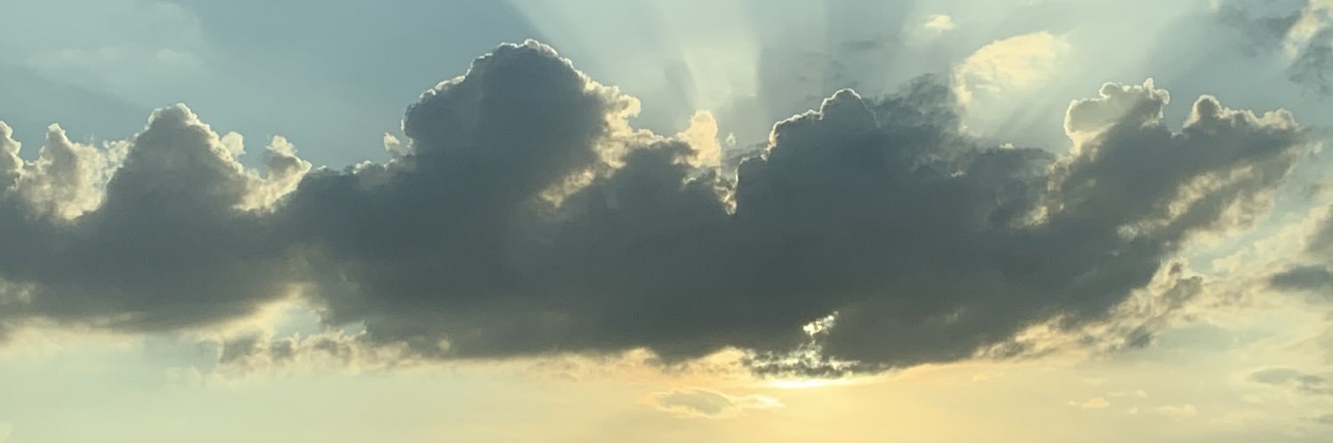 megoelfke's profile banner image