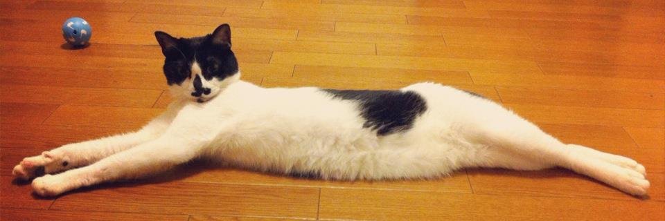 ぺんこ banner
