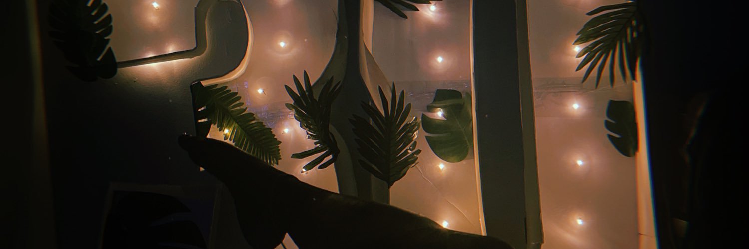 GotDamn_LilTiTi's profile banner image