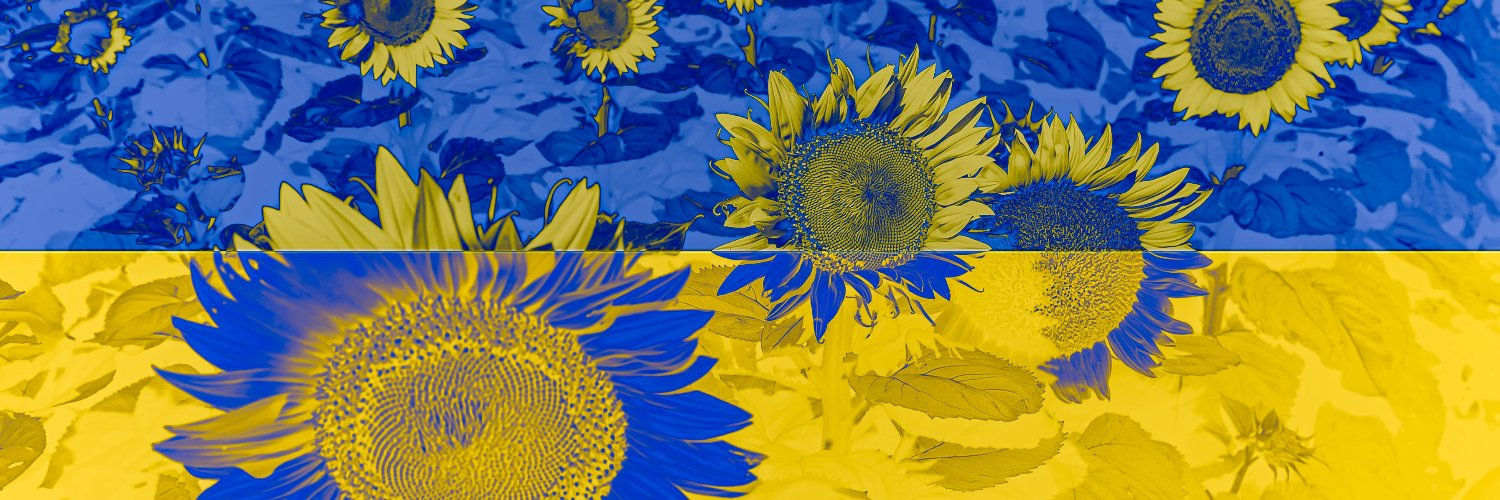 PeterRydzynski's profile banner image