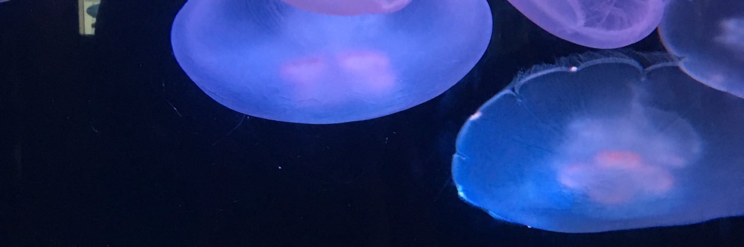 dab17's profile banner image