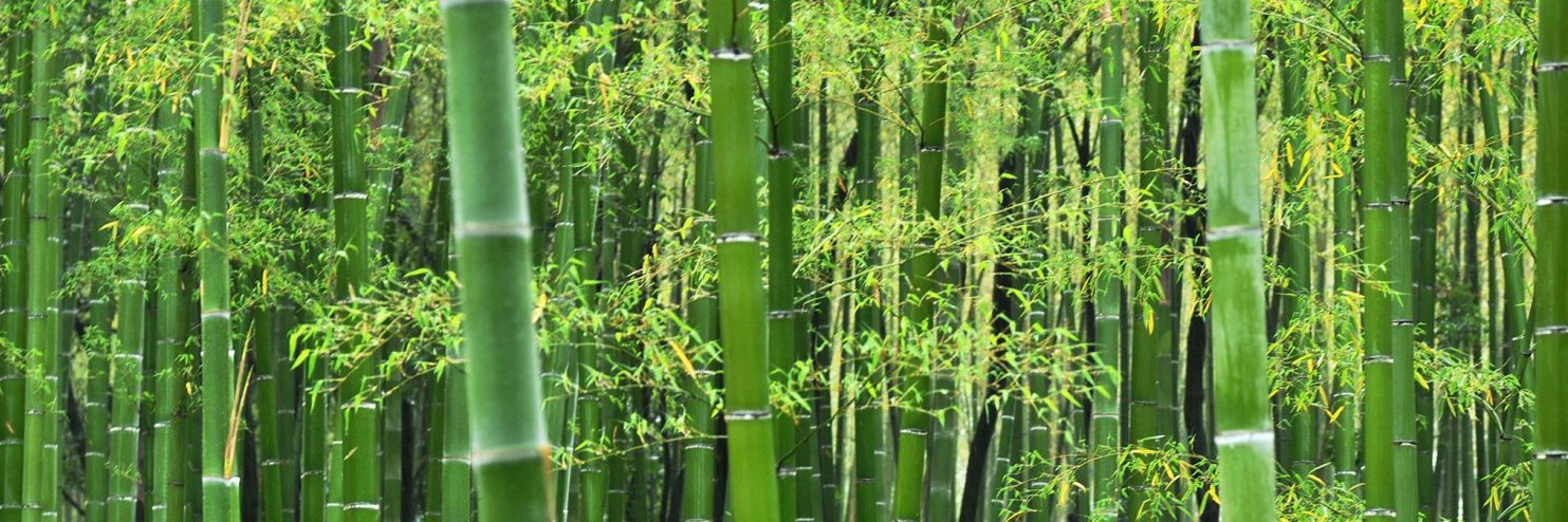 AnjinChatin's profile banner image