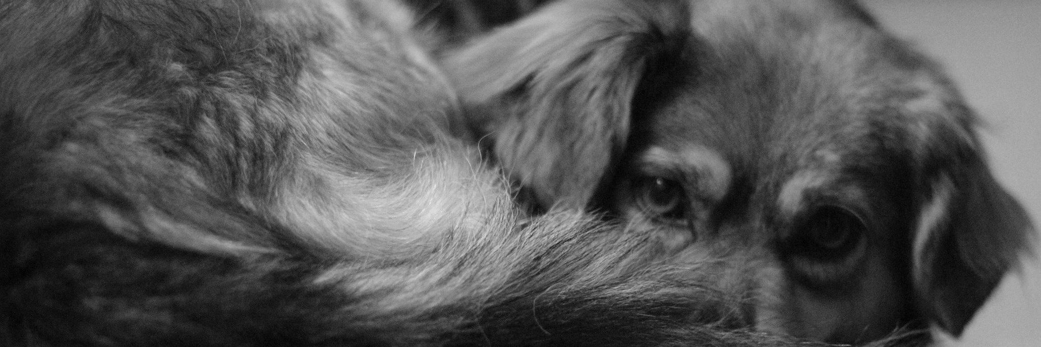 Bicett's profile banner image