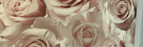 sc0tt_ Profile Banner