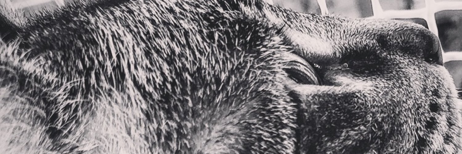 AndreaParedero's profile banner image