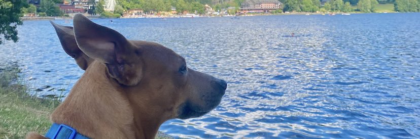 cxssou_'s profile banner image