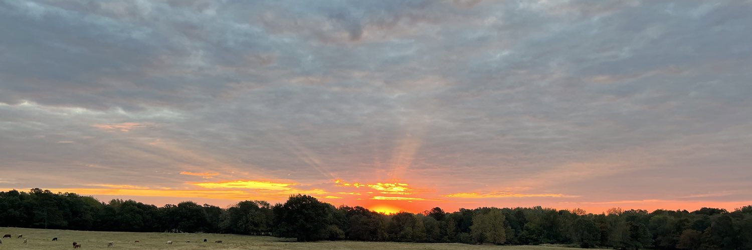 SJ Dees-DePriest banner