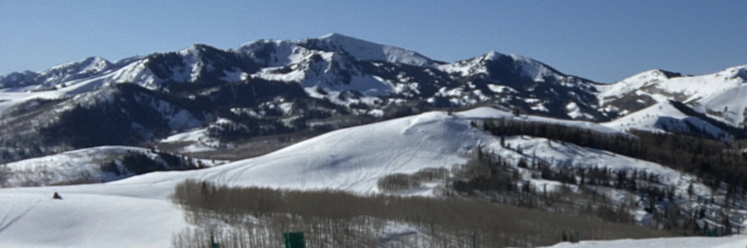 TweetsByKendall's profile banner image