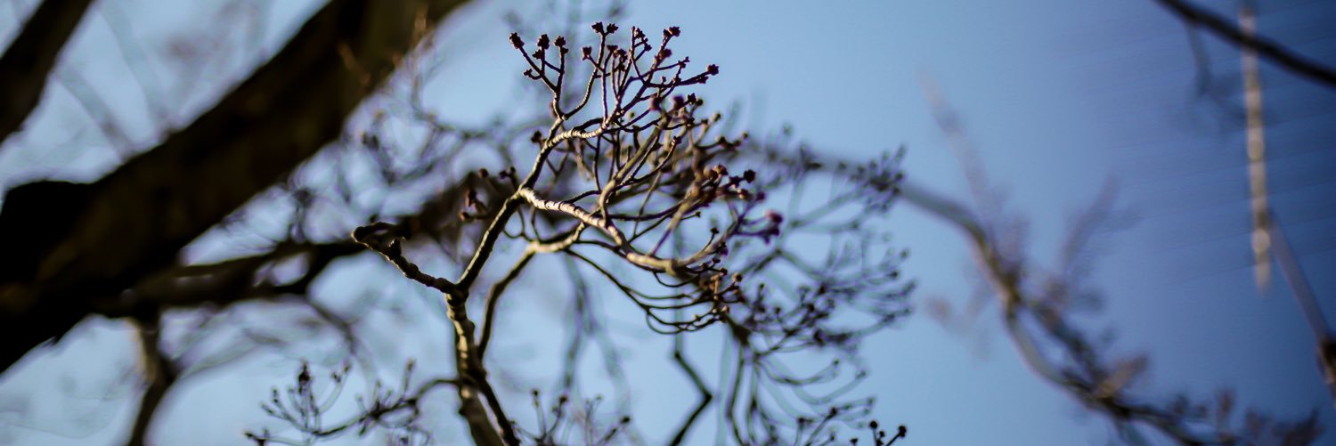 ChelseaHouseman's profile banner image