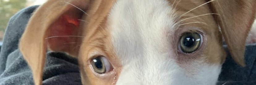 judyd12's profile banner image