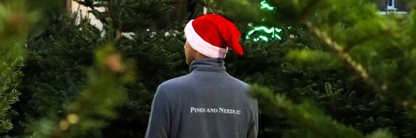 pinesandneedles Profile Banner