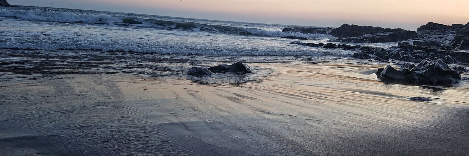 FACTIVE🏴󠁧󠁢󠁷󠁬󠁳󠁿 banner