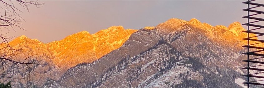 BaxterMueller7's profile banner image