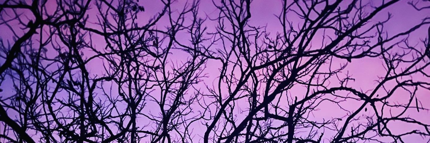 contacteaswar's profile banner image