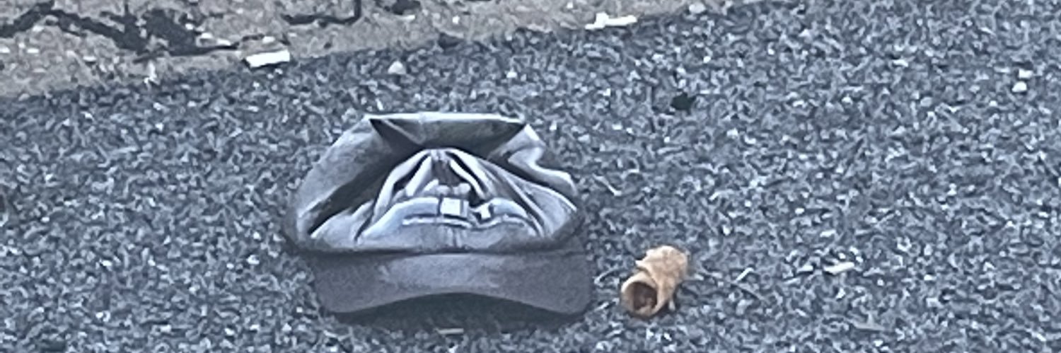 someLGBTea's profile banner image