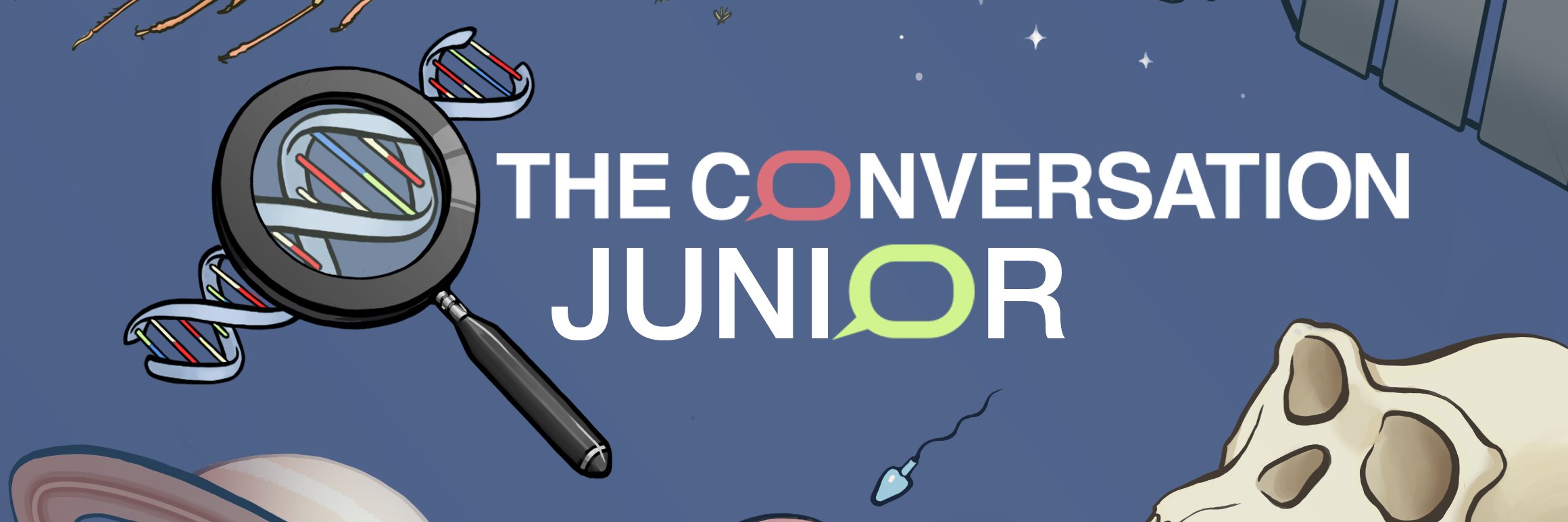 Benoît Tonson banner