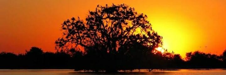 _maomar's profile banner image