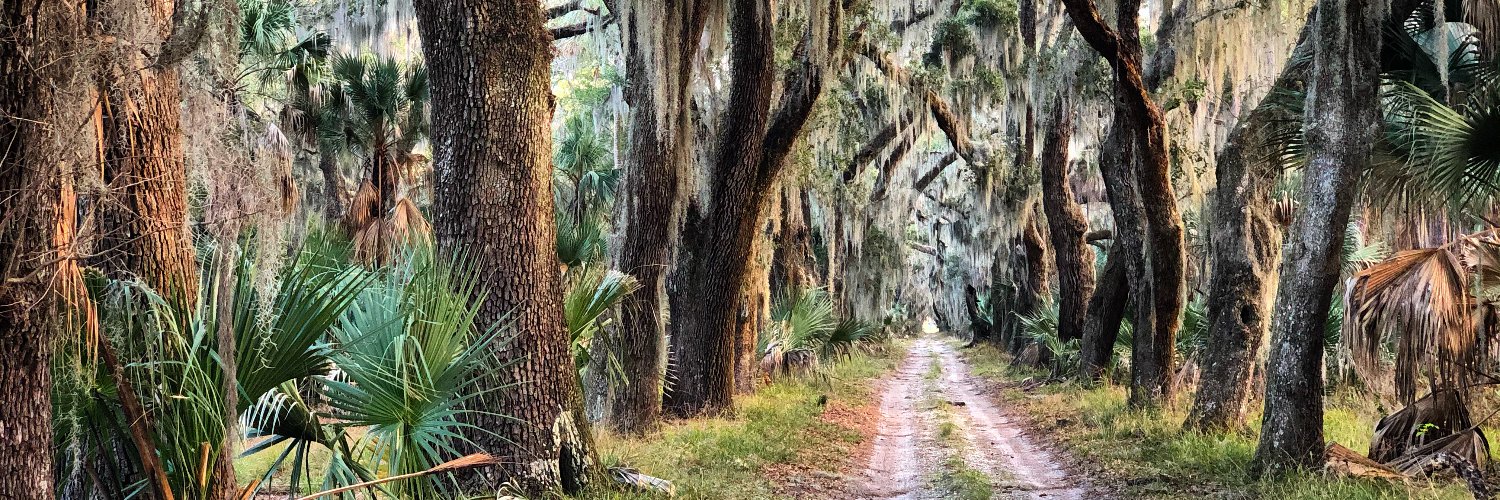 Georgia Conservancy banner
