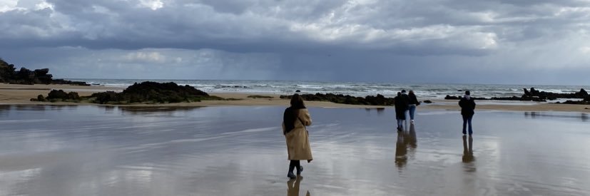 Ana banner