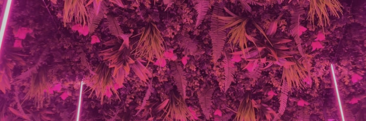 RiVeR_Rose__'s profile banner image