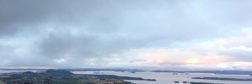 د.سلوى الطالبي banner