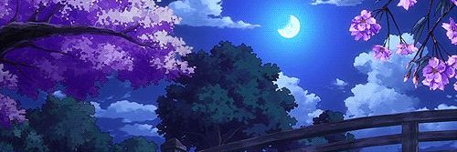 Beezerlloyd's profile banner image