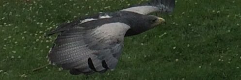 ErikdeGroot2's profile banner image