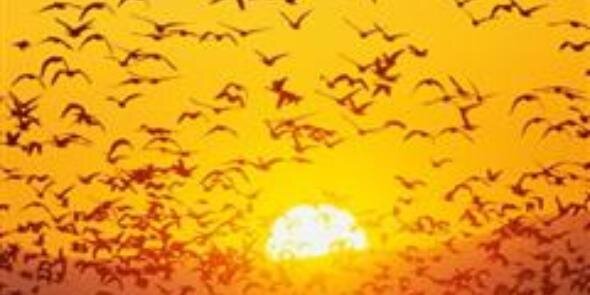 agubarone's profile banner image