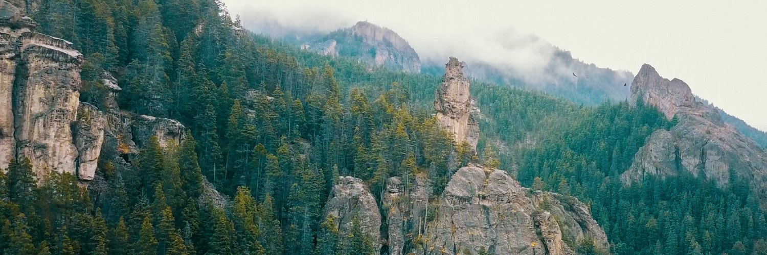 ferbozzoletti's profile banner image