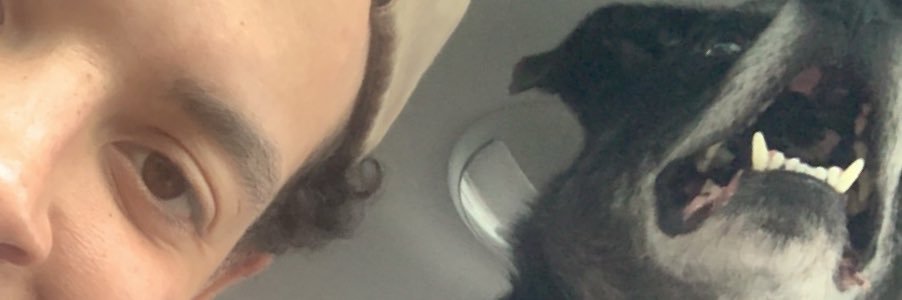 Infamous_Reaprr's profile banner image
