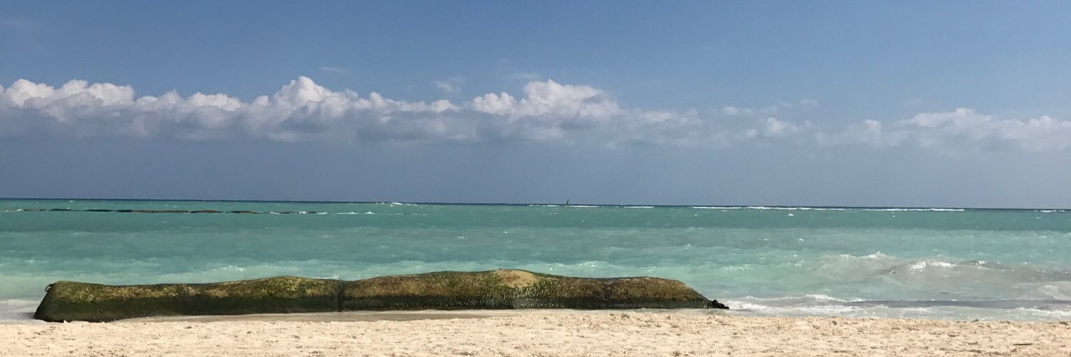 doryannthornton's profile banner image