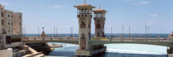 محمود الاسكندرانى banner