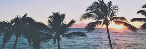 Arthur_Rovedder's profile banner image