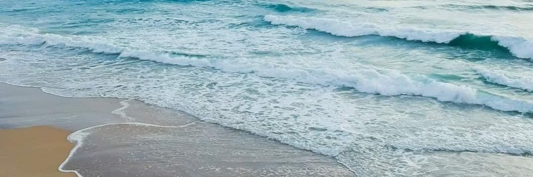 AshleyPatton95's profile banner image