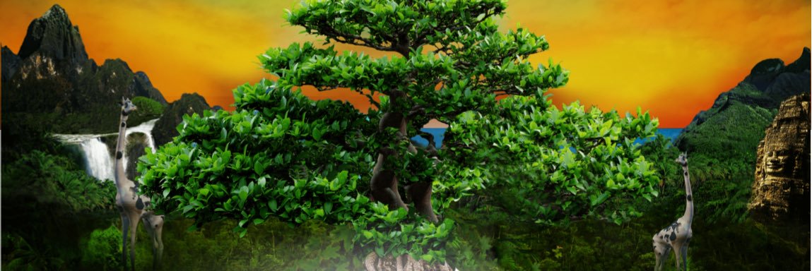 alchemistdavo's profile banner image