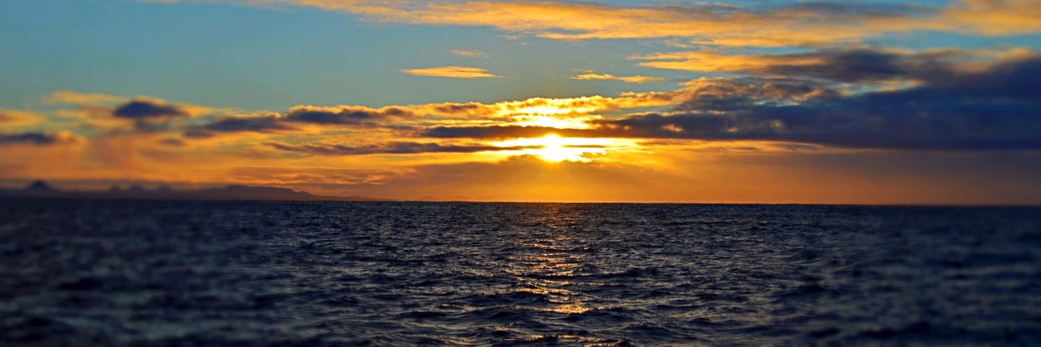 RachelConaghan_'s profile banner image