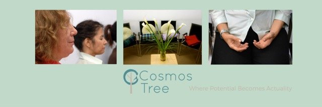 CosmosTreeInc's profile banner image