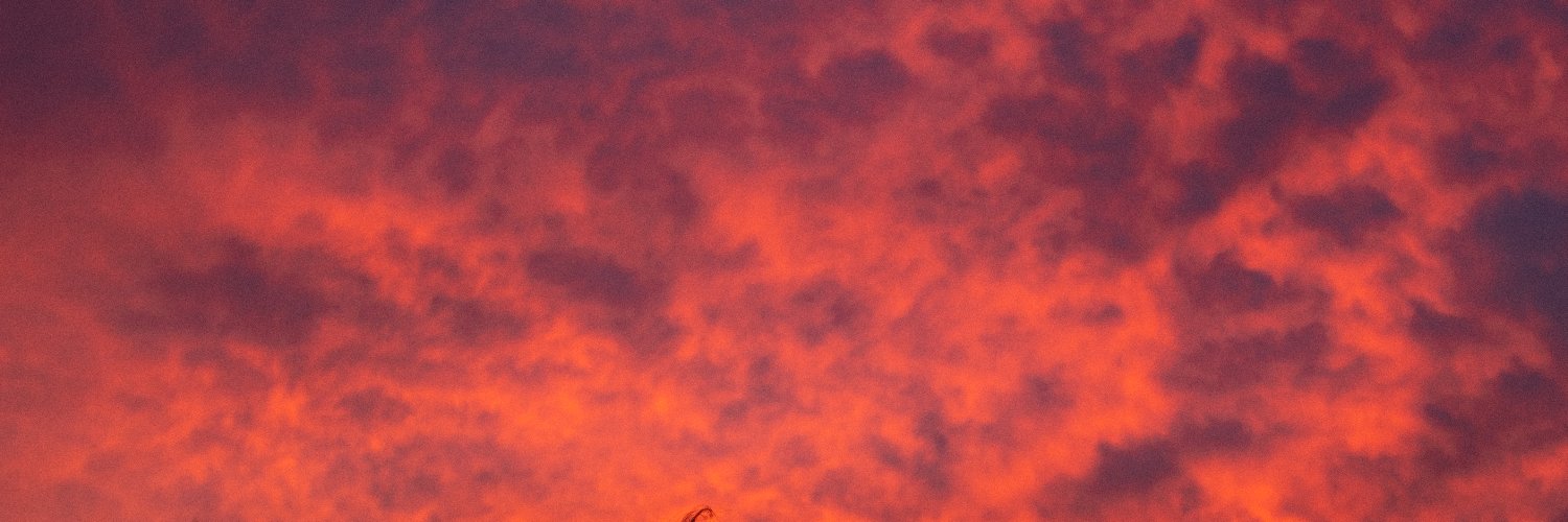 波乗りぱんだ banner