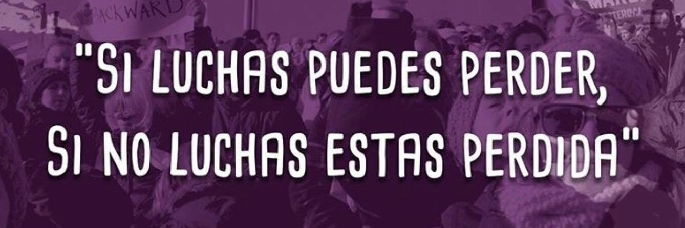 COCOFEM banner