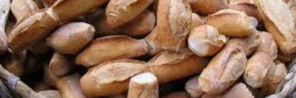 biroteduro Profile Banner